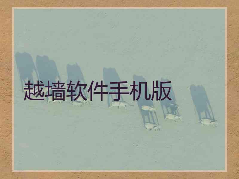 越墙软件手机版