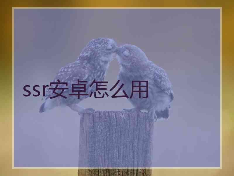 ssr安卓怎么用
