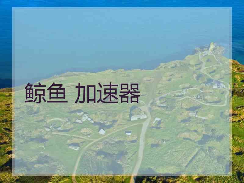 鲸鱼 加速器