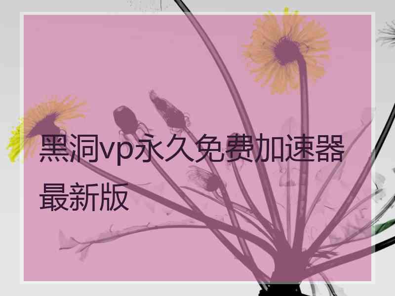 黑洞vp永久免费加速器最新版