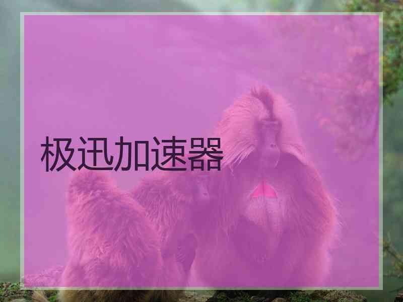 极迅加速器