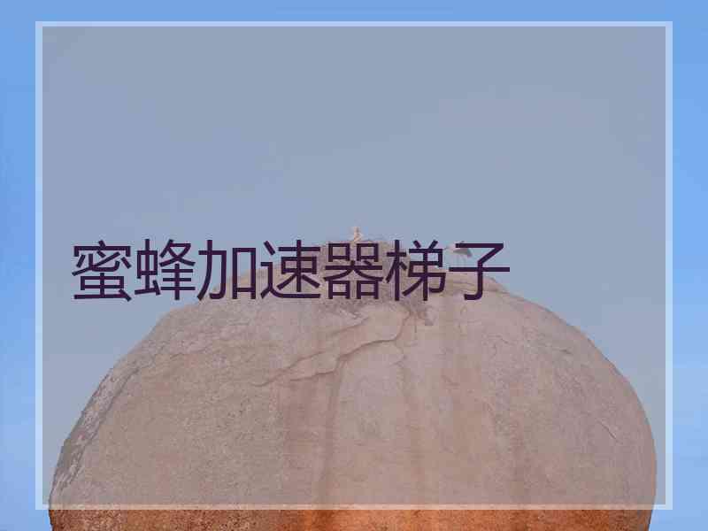 蜜蜂加速器梯子