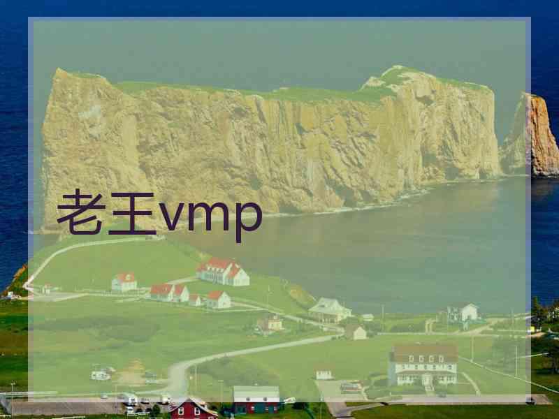 老王vmp