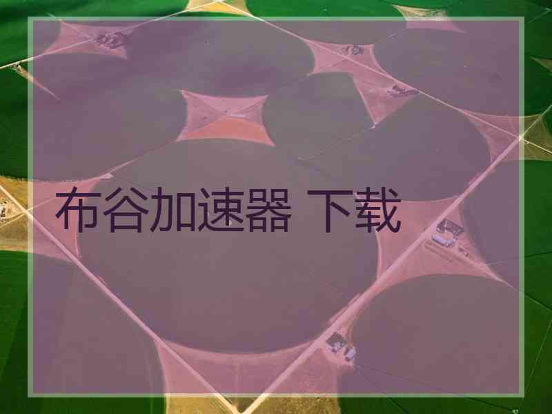 布谷加速器 下载