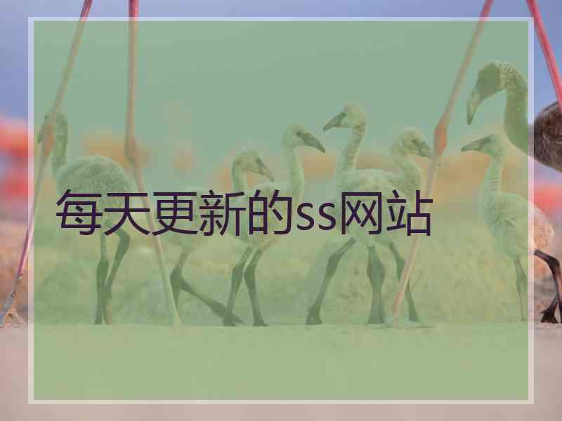 每天更新的ss网站