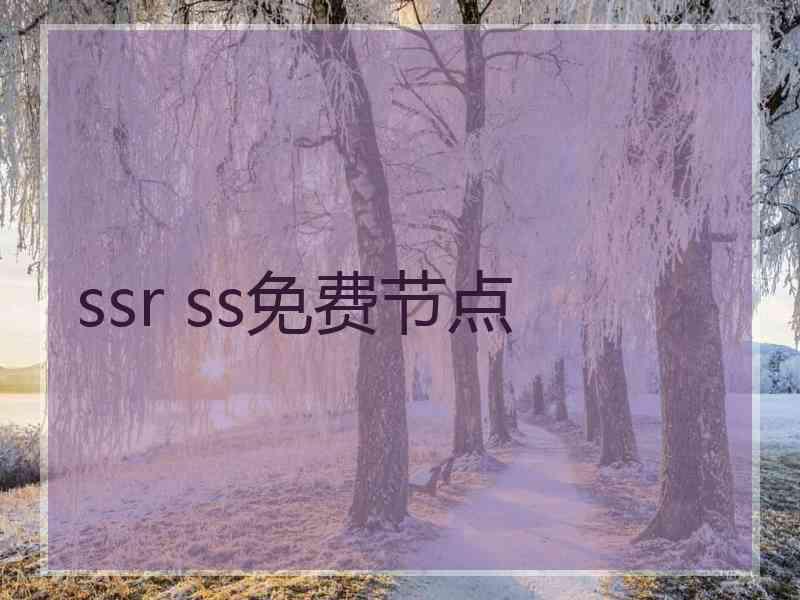 ssr ss免费节点