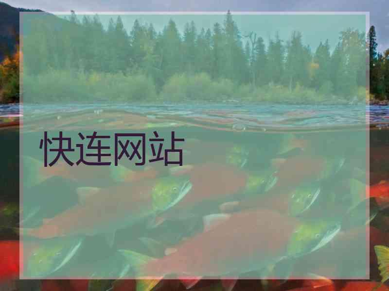 快连网站