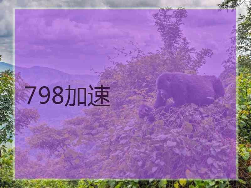 798加速