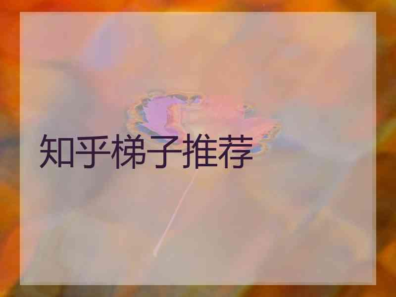 知乎梯子推荐