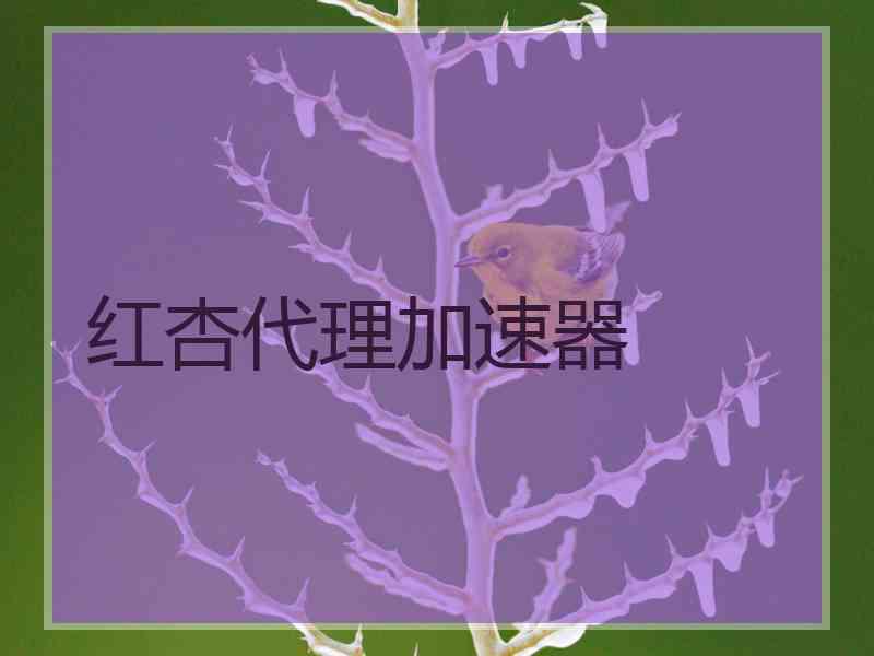 红杏代理加速器