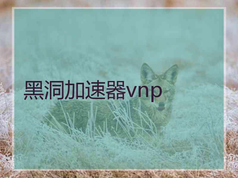 黑洞加速器vnp