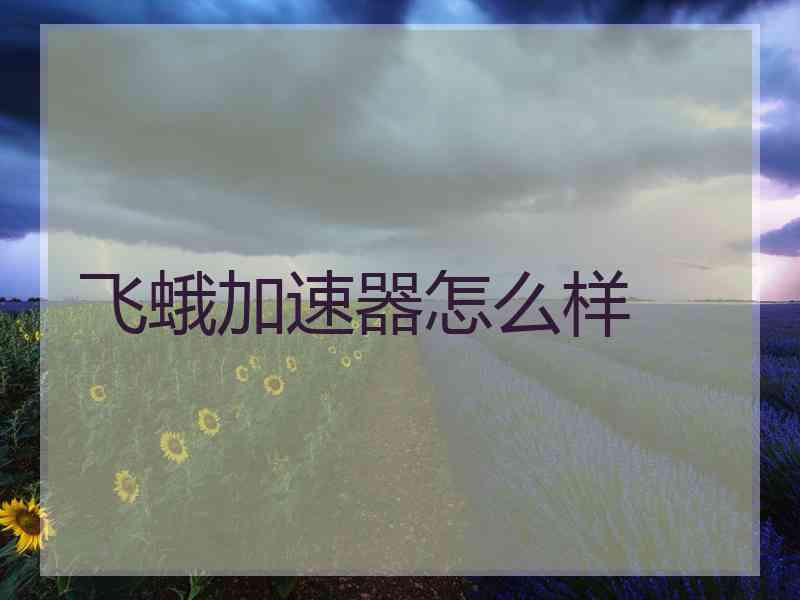 飞蛾加速器怎么样