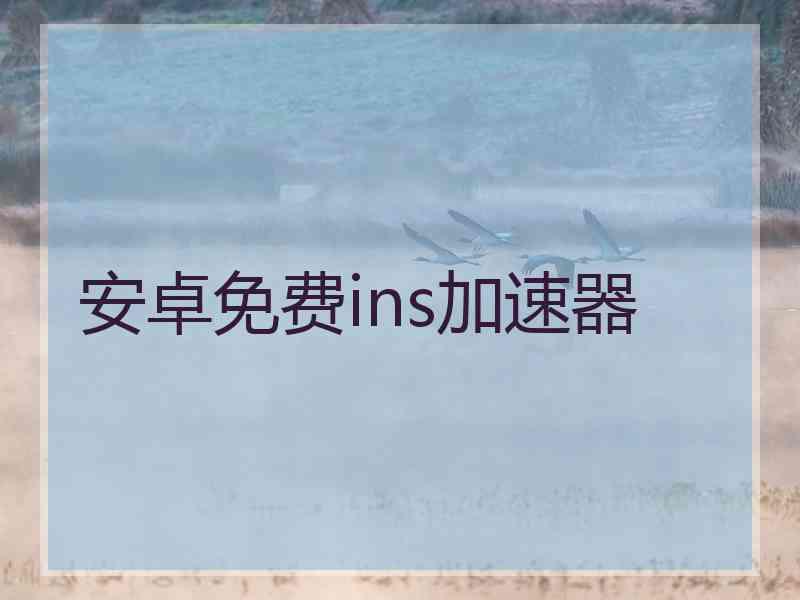 安卓免费ins加速器