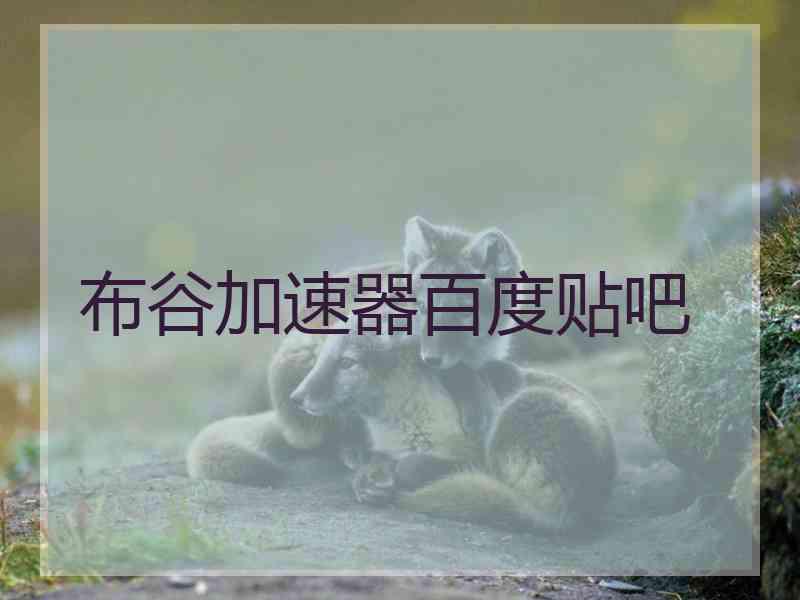 布谷加速器百度贴吧