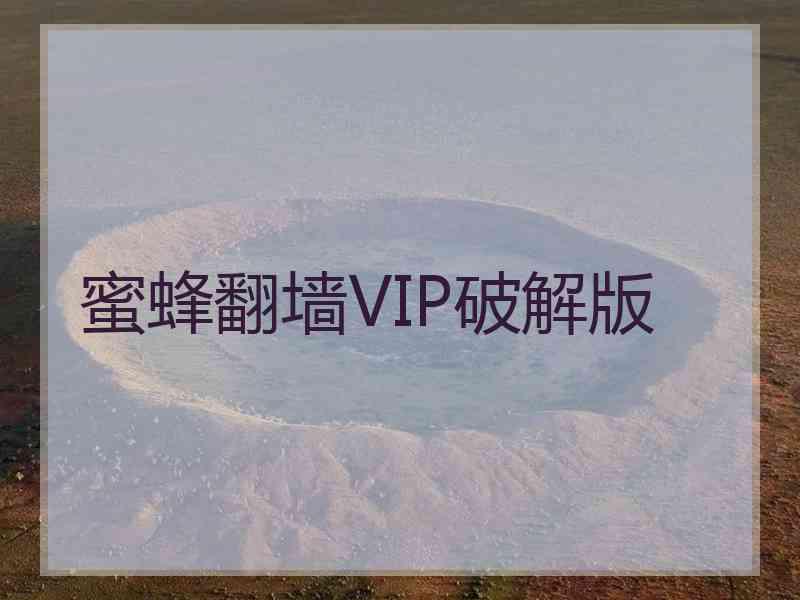 蜜蜂翻墙VIP破解版