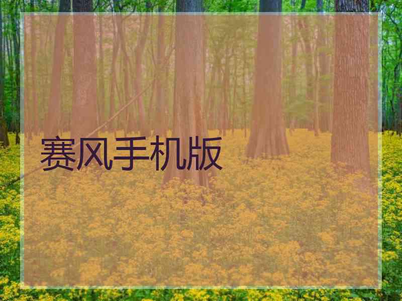 赛风手机版