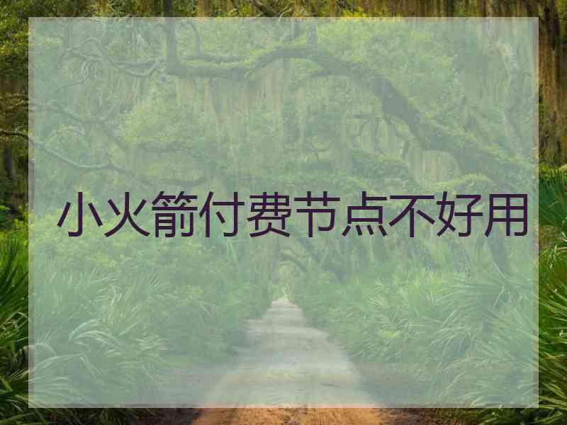小火箭付费节点不好用