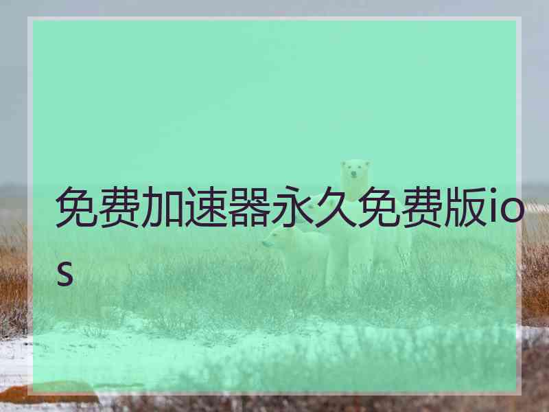 免费加速器永久免费版ios