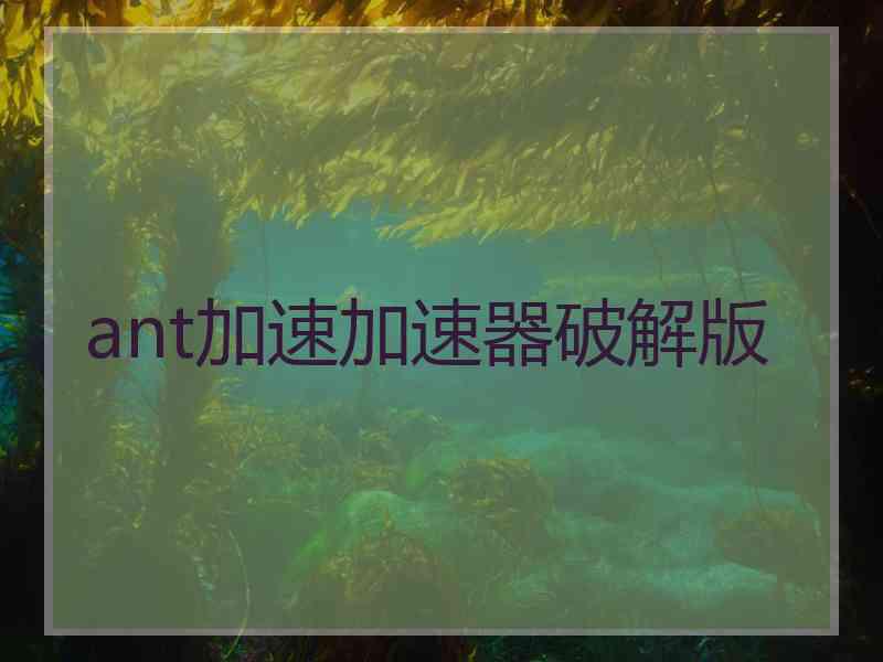 ant加速加速器破解版