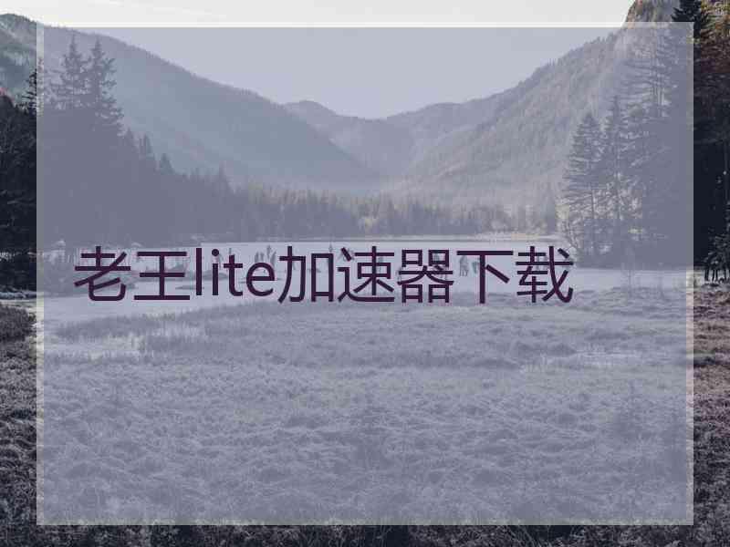 老王lite加速器下载