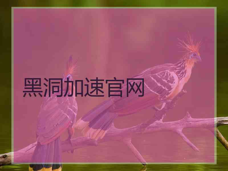 黑洞加速官网