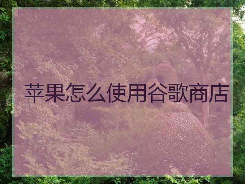 苹果怎么使用谷歌商店