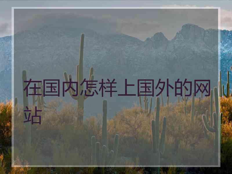 在国内怎样上国外的网站