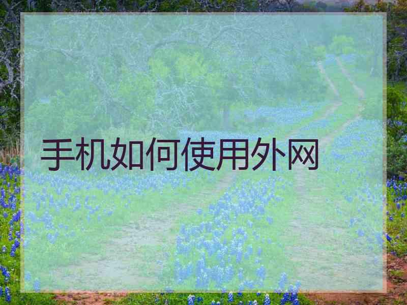 手机如何使用外网