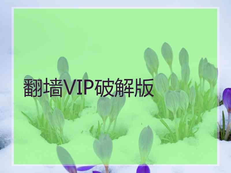 翻墙VIP破解版