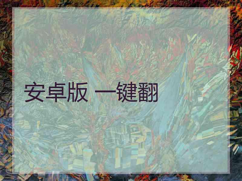 安卓版 一键翻