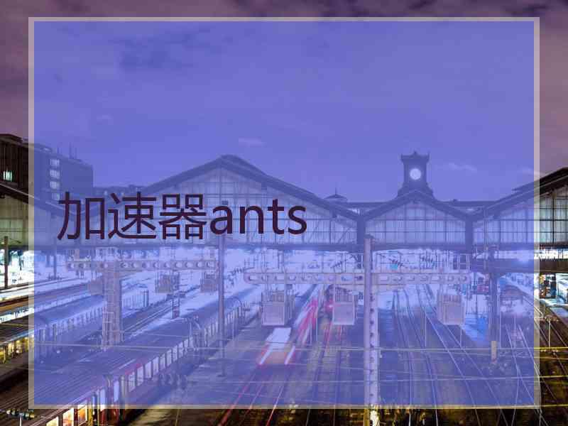加速器ants