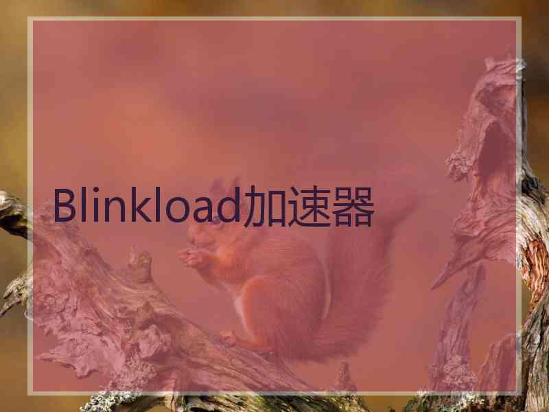 Blinkload加速器