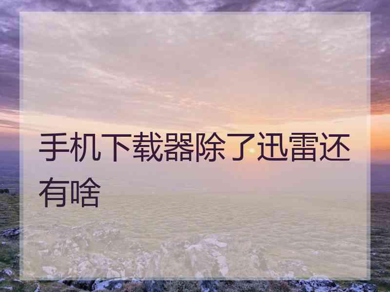 手机下载器除了迅雷还有啥