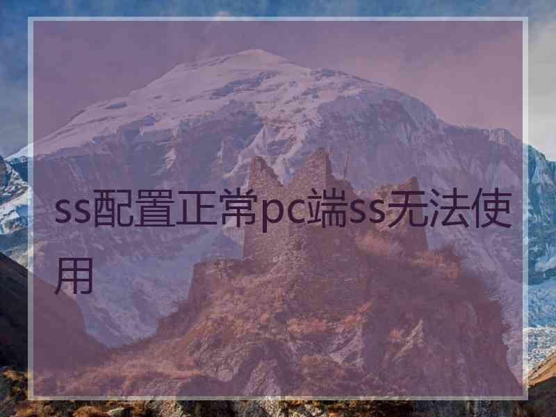 ss配置正常pc端ss无法使用