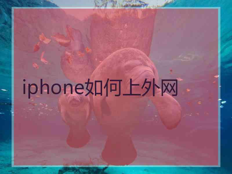 iphone如何上外网