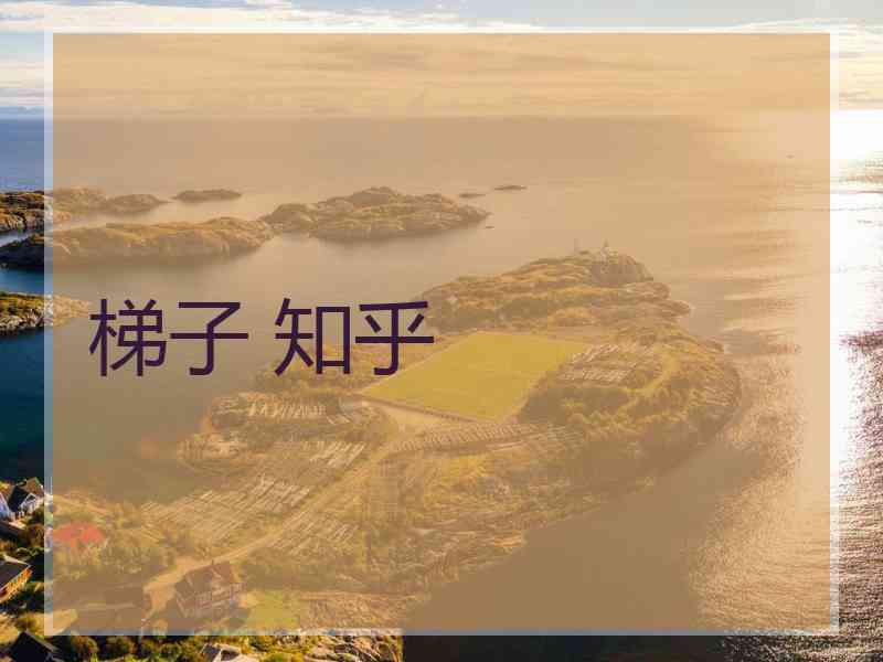 梯子 知乎