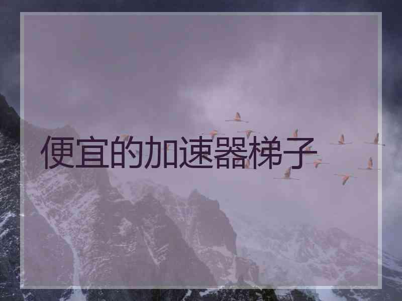 便宜的加速器梯子