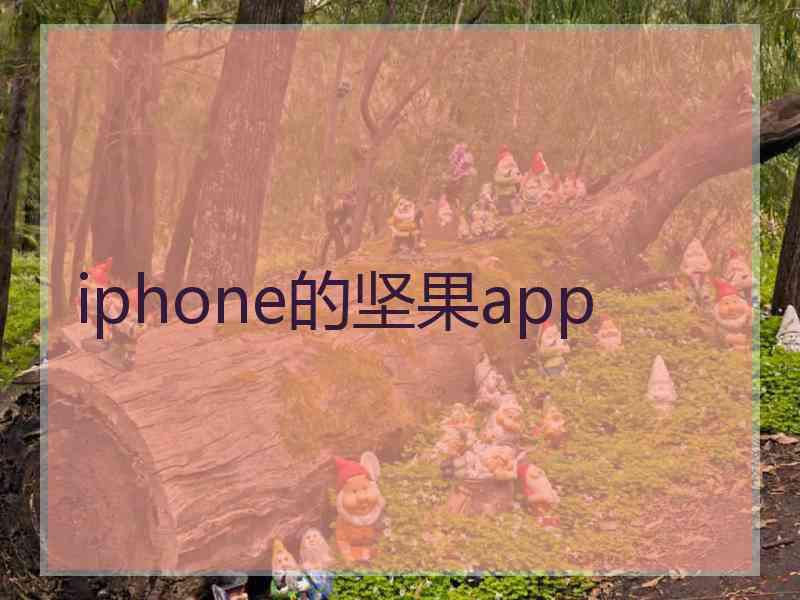 iphone的坚果app