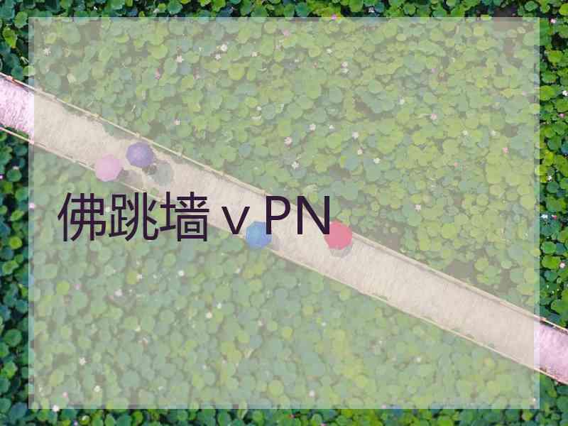 佛跳墙ⅴPN