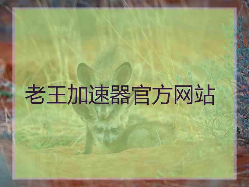 老王加速器官方网站