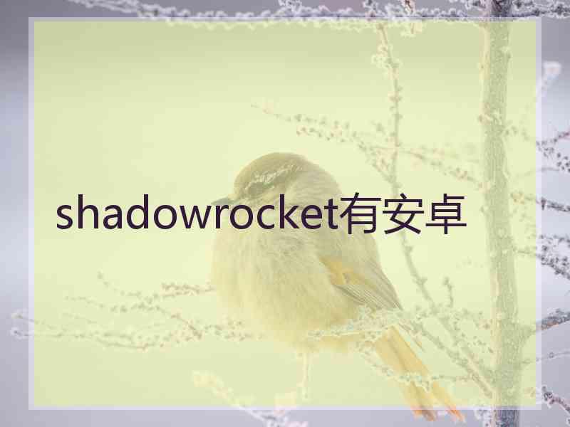 shadowrocket有安卓