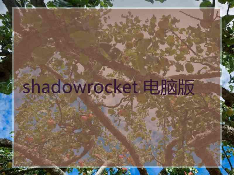 shadowrocket 电脑版