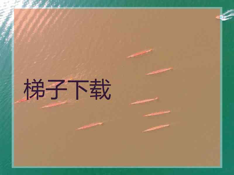 梯子下载