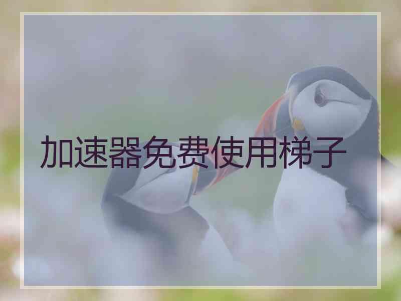 加速器免费使用梯子