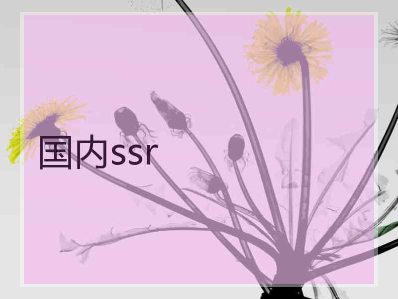 国内ssr