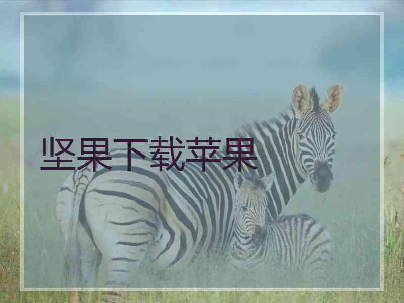 坚果下载苹果