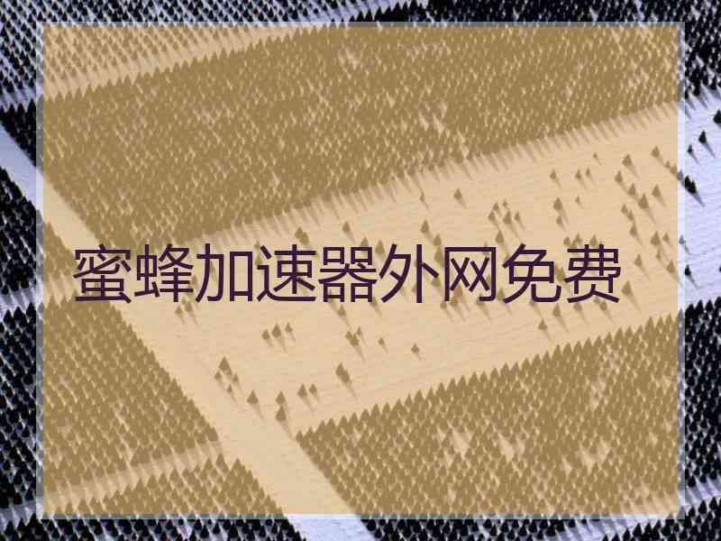 蜜蜂加速器外网免费