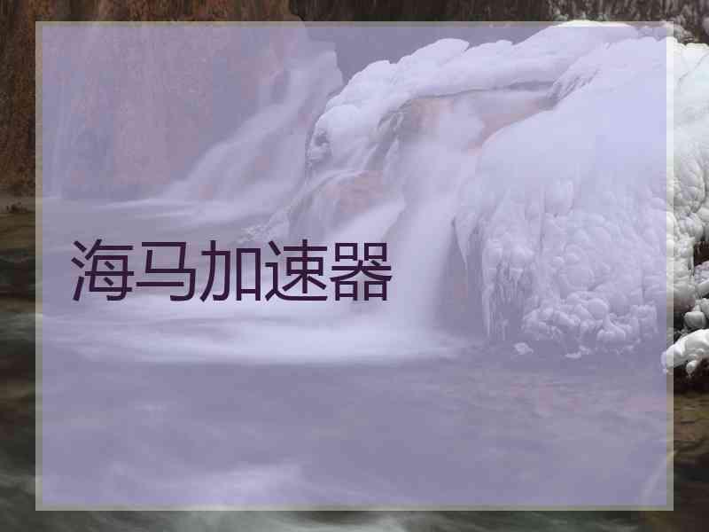海马加速器