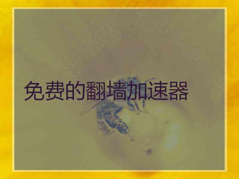 免费的翻墙加速器