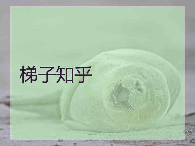 梯子知乎